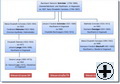 Schröder Genealogie1